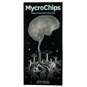 microchips chocolate